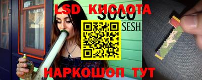 крисы Коммунар